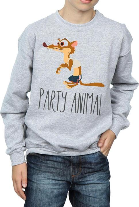 Image du produit Disney - Sweat PARTY ANIMAL - Garçon (128)