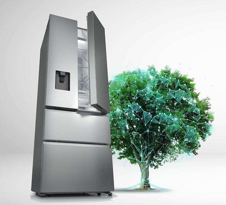 Actual product image Hisense RF632N4WIE (485 l)