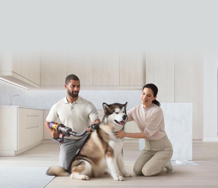 Productafbeelding Dyson Haustierpflegeset