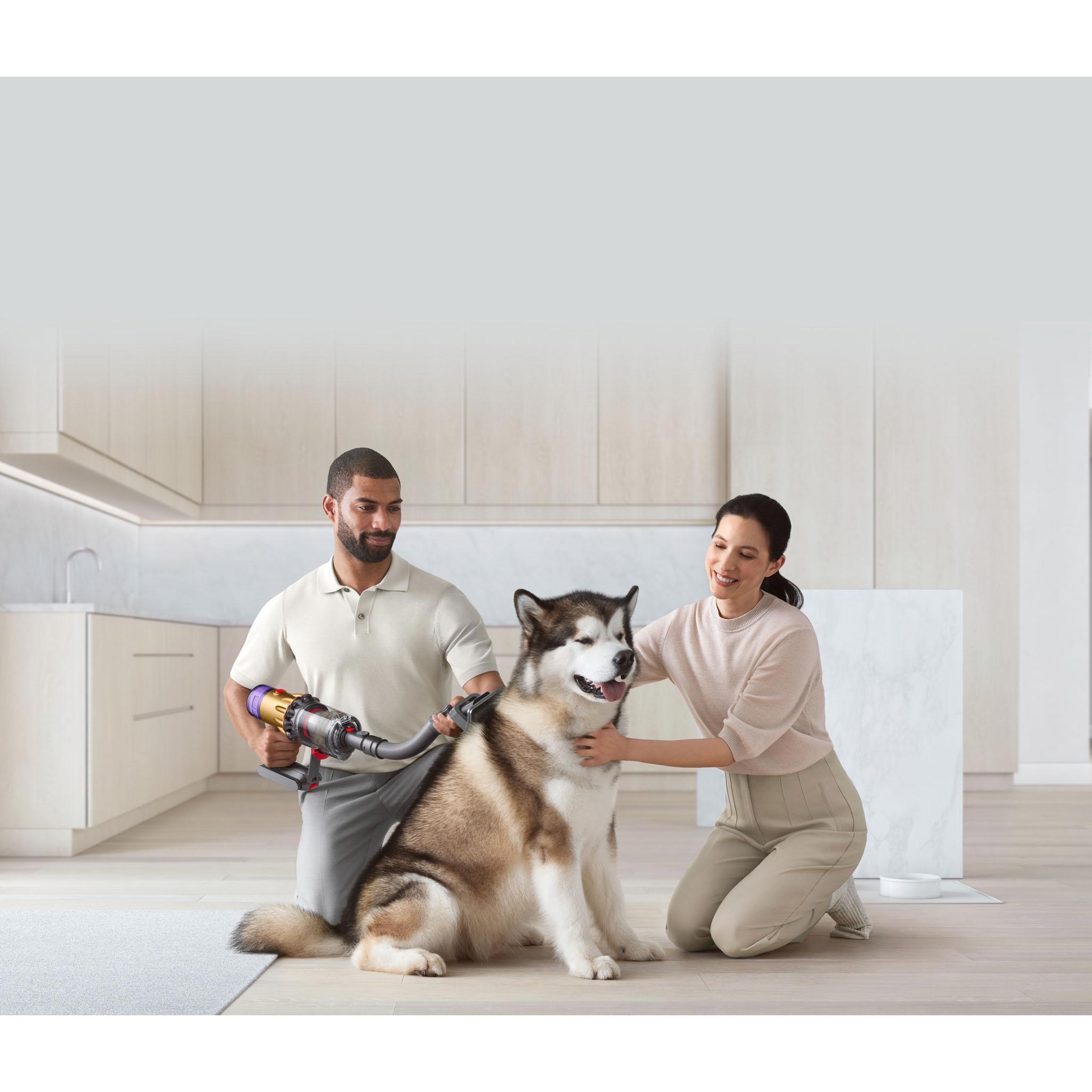 Thumbnail - Dyson Haustierpflegeset, Staubsauger Zubehör, Silber