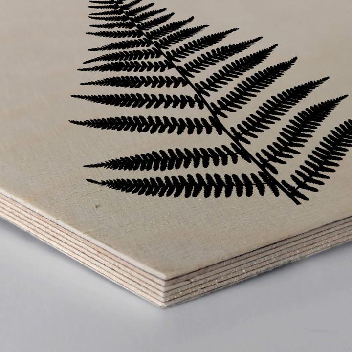 Image du produit Trenddeko Fern (25 x 22 cm)