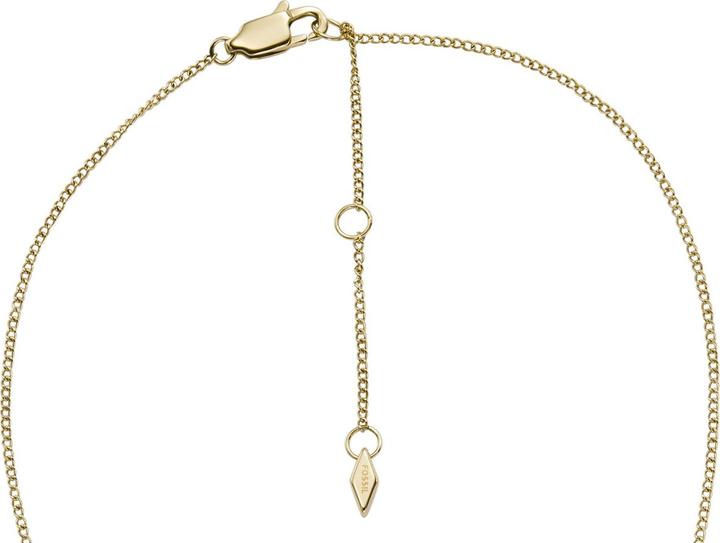 Actual product image Fossil Heritage Necklace (Shield, Stainless steel)