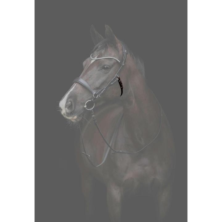 Produktbild Catago Gentle