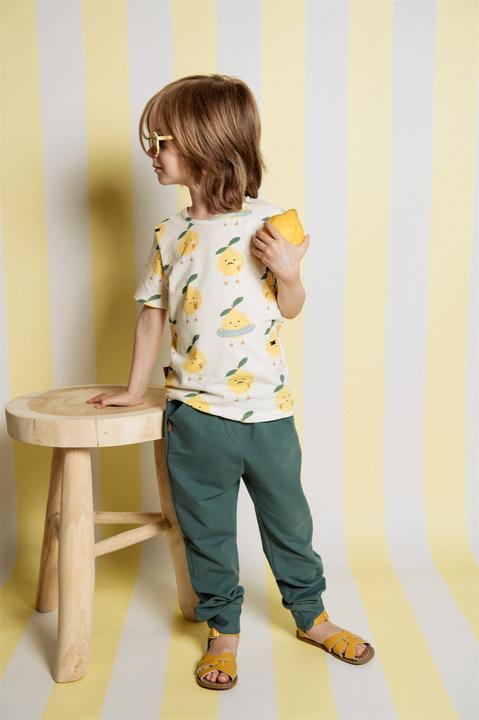 Actual product image Hebe T-Shirt mit Zitronenaufdruck (122, 128)