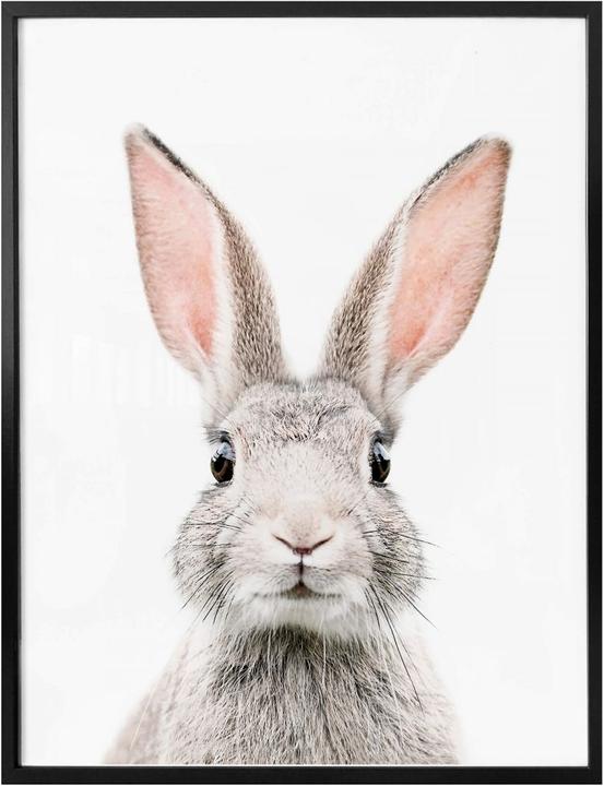 Image du produit Trenddeko Oreilles de lapin (30 x 40 cm)