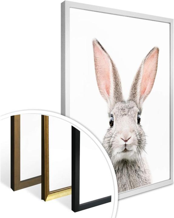 Image du produit Trenddeko Oreilles de lapin (30 x 40 cm)
