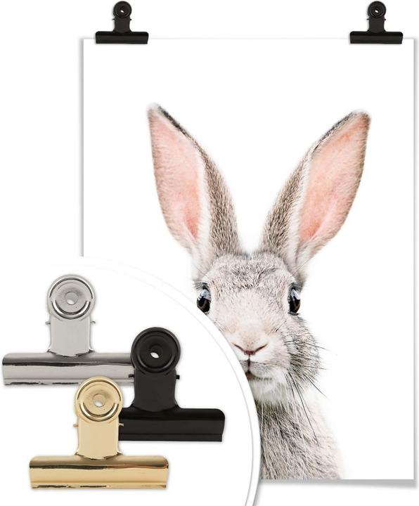 Image du produit Trenddeko Oreilles de lapin (30 x 40 cm)