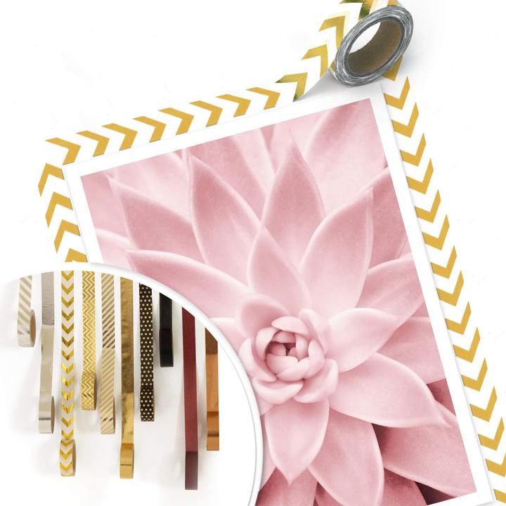 Image du produit Trenddeko Succulente rose (24 x 30 cm)