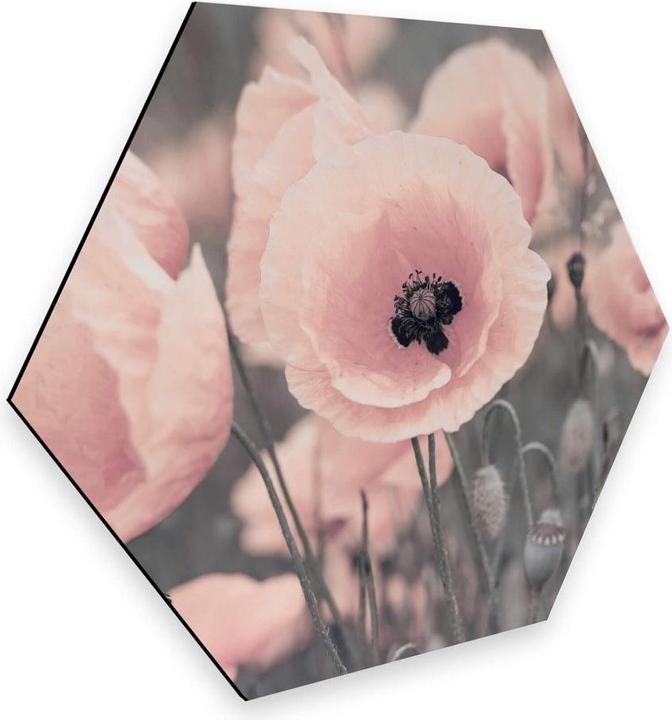 Produktbild Trenddeko Rosa Mohnblume (35 x 30 cm)
