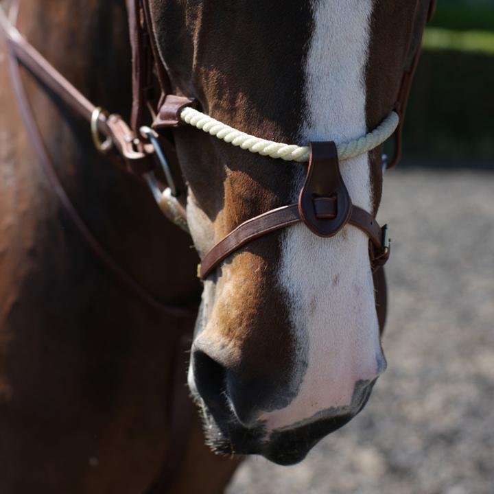 Produktbild Nasenband RNB Leder