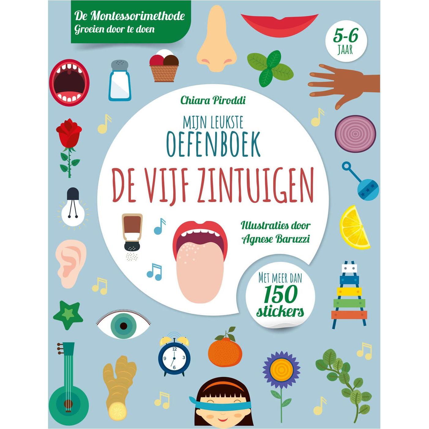 Rebo, Sticker, Five Senses – Das beste Übungsbuch