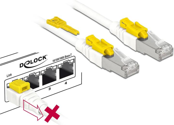 Image du produit Delock Câble patch : S/STP, 1m, blanc (S/STP, CAT6a, 1 m)