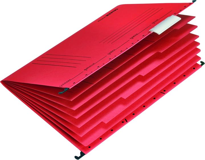 Immagine prodotto Falken UniReg (A4, 1x)