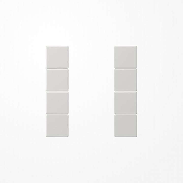 Actual product image JUNG Key 4t Switch LS lgr mt f.bus system LS504TSALG