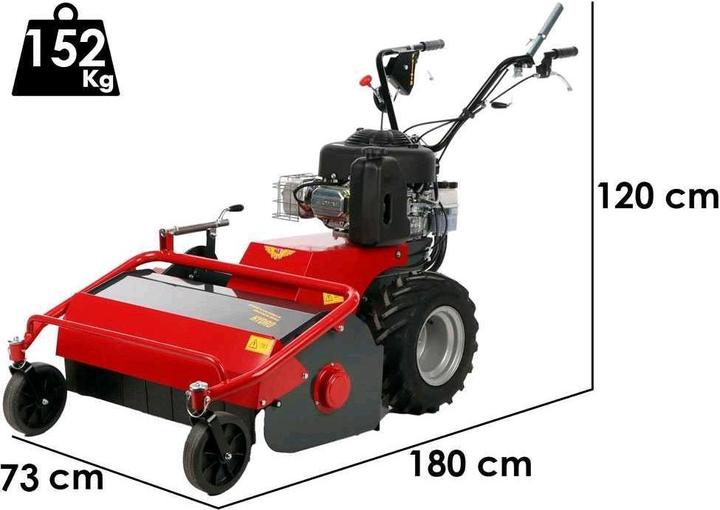 Benassi TR 600 Hydro Professional hammer lawn mower B and S 3105E (Petrol)
