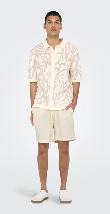 Produktbild Only & Sons ONSTEL-PAS Normal geschnitten Shorts Shorts (XL)