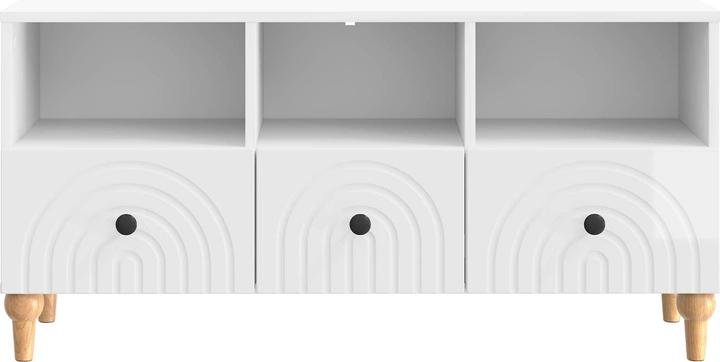 Image du produit vidaXL TV-Ständer (102 x 34.50 x 50 cm)