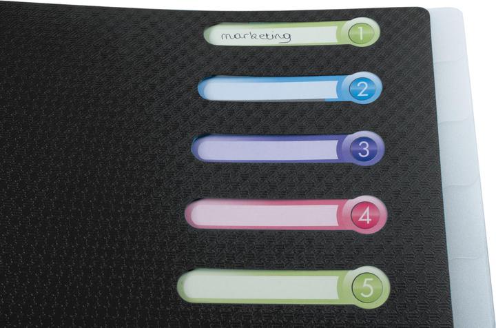 Actual product image Exacompta PP file folders (A4, 1x)