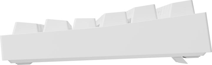 Produktbild Genesis Klawiatura THOR 404 TKL Gateron Yellow Pro (NKG-2070) (Eng. Int., Kabelgebunden)