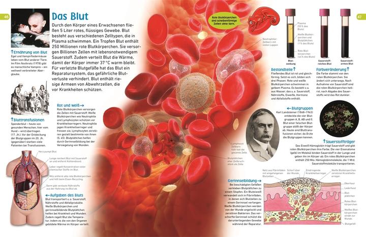 Actual product image memo Wissen entdecken. Der Körper (German, Sibylle Tönjes, 2018)