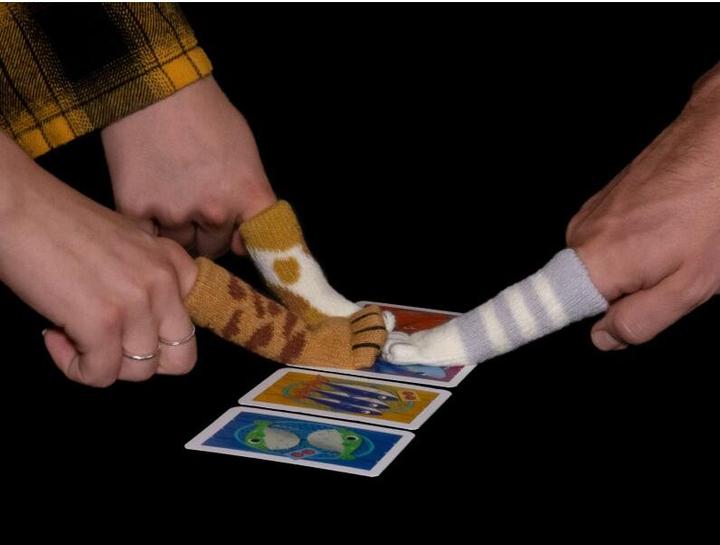 Produktbild Familienspiel Fish & Katz -DE- (Deutsch, 2 - 6 Spieler)