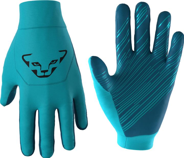 Produktbild Dynafit Upcycled Thermal Handschuhe (M)