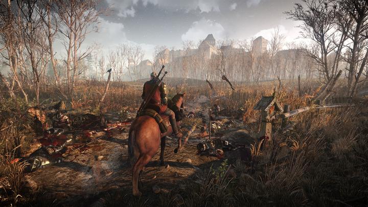 Produktbild The Witcher 3 : Wild Hunt