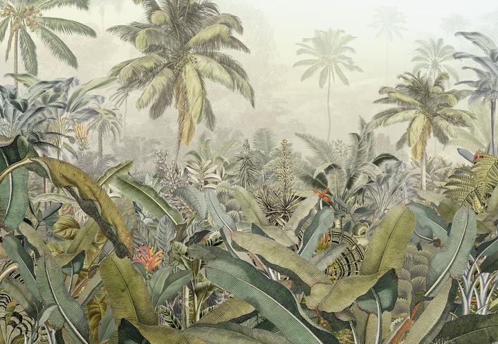 Komar Amazonia (368 x 248 cm)