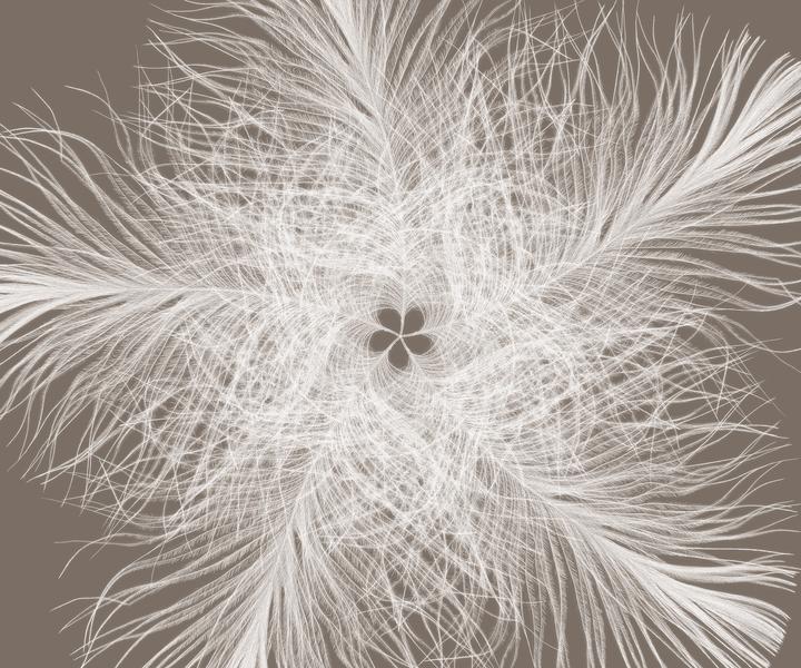 Immagine prodotto Komar Stella di piume (300 x 250 cm)