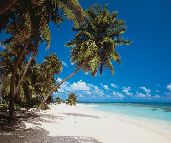 Image du produit Komar Maldives (300 x 250 cm)