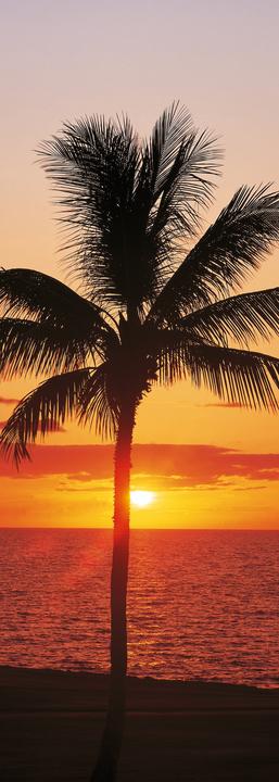 Produktbild Komar Panel Hawaii (100 x 280 cm)