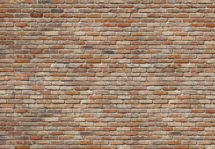 Komar Backstein (368 x 254 cm)