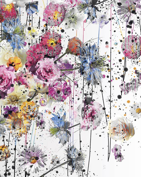 Produktbild Komar Lush (200 x 250 cm)