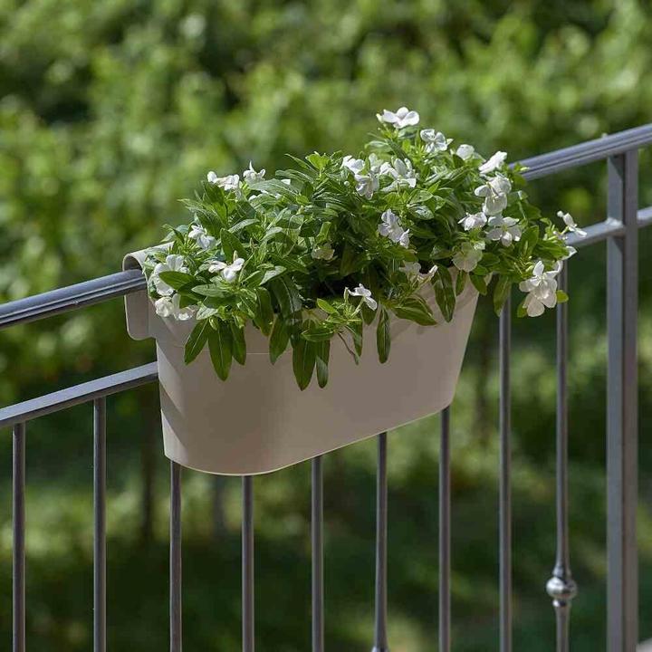 Produktbild Euro3plast Pflanzkasten (50 cm)