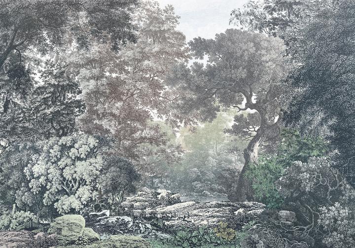 Produktbild Komar Fairytale Forest (400 x 280 cm)
