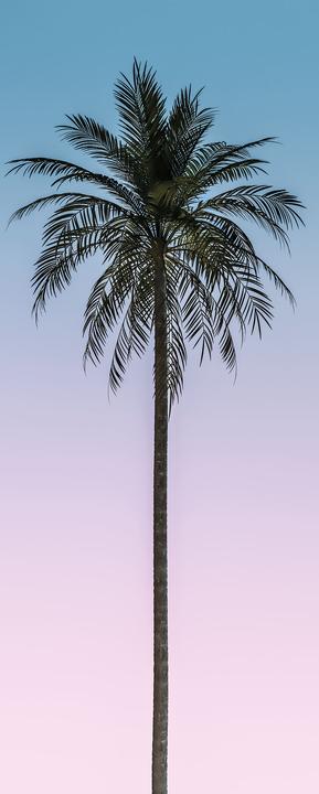 Produktbild Komar Skyhigh (100 x 250 cm)