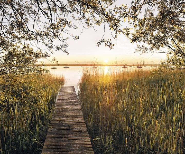 Produktbild Komar Lakeside (300 x 250 cm)