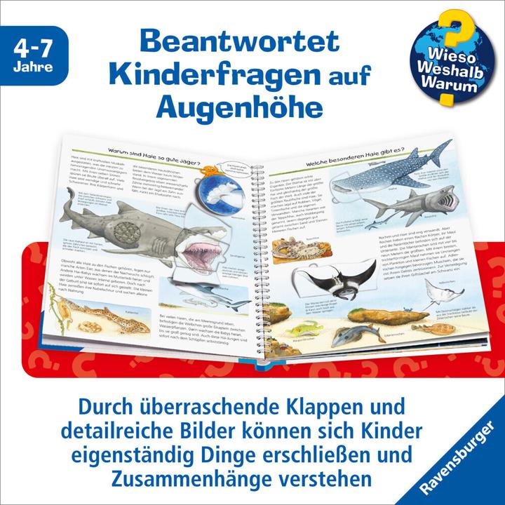 Image du produit Ravensburger Wir entdecken Meerestiere (Allemand, Andrea Erne, 2015)