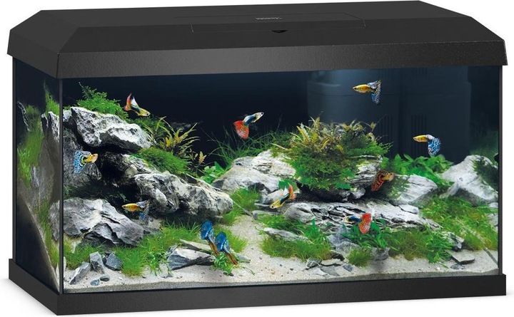 Juwel Aquarium Primo 2.0. (57 l)