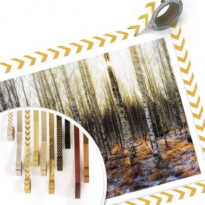 Image du produit Trenddeko Soleil dans la forêt de bouleaux (50 x 40 cm)