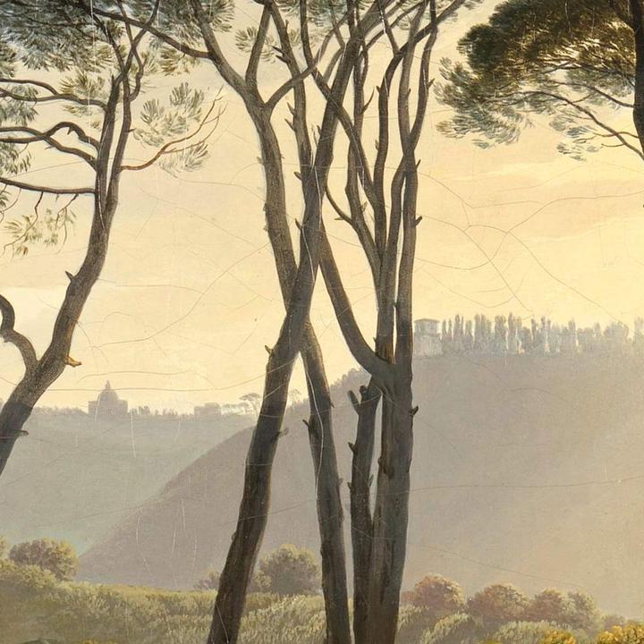 Produktbild Trenddeko Italienische Landschaft mit Schirmkiefern (336 x 300 cm)