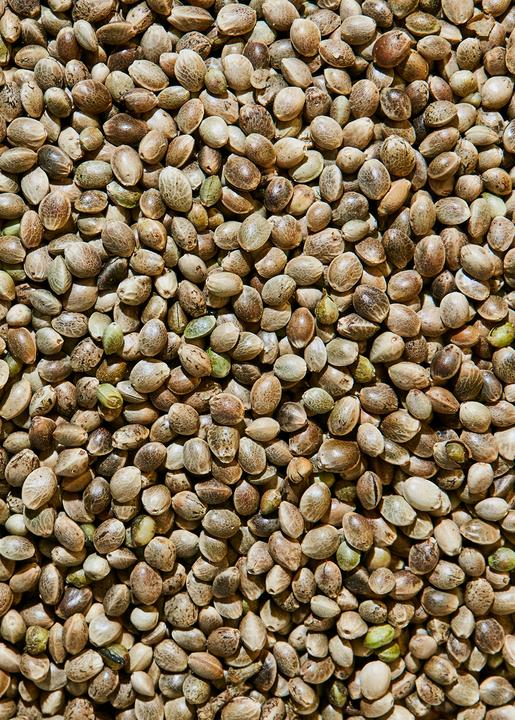 Immagine prodotto KoRo Bio Hanfsamen ungeschält (1000g) (1000 g)