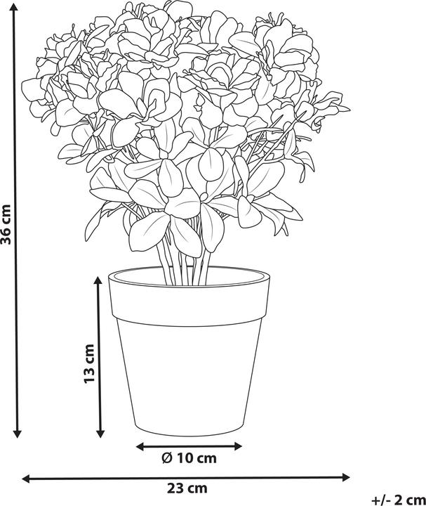 Immagine prodotto Beliani Novella (36 cm)