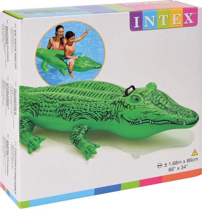 Actual product image Intex The Lil' Gator