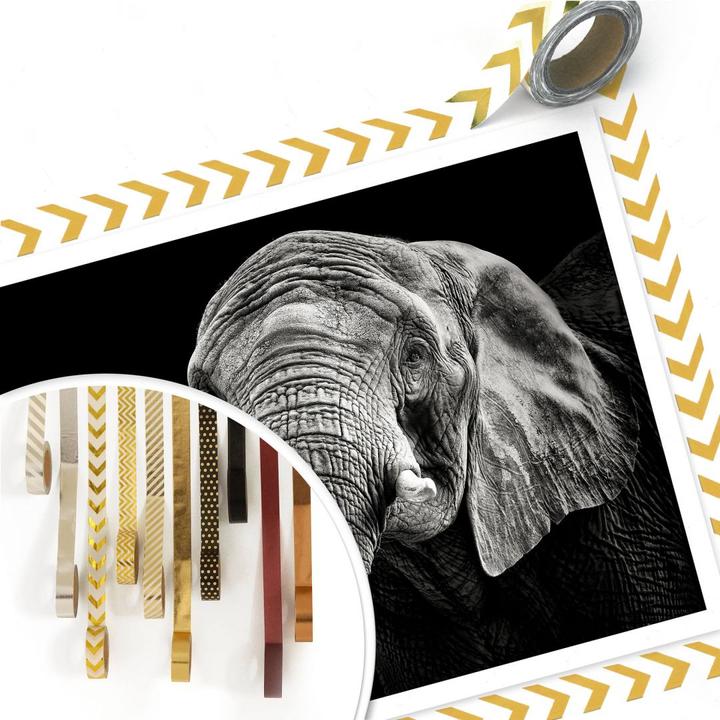 Image du produit Trenddeko L'éléphant (40 x 30 cm)