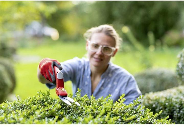 Immagine prodotto GCS Gs-2P Cesoie per erba Comfort