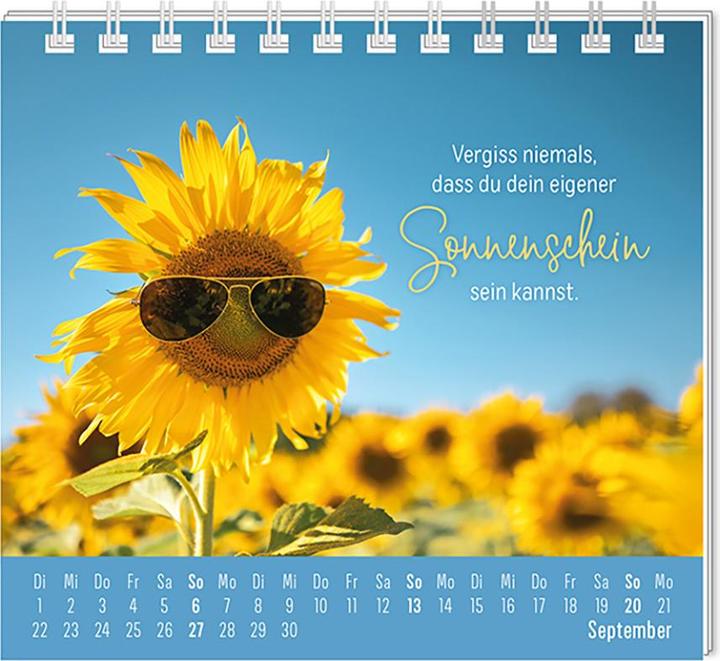 Produktbild Mini-Kalender 2026 Eine Extraportion Gl