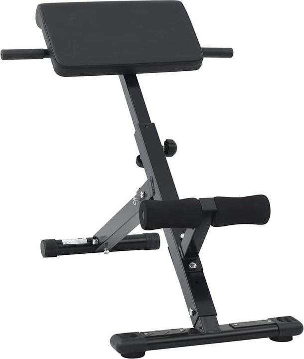 vidaXL Hyperextensionsbank