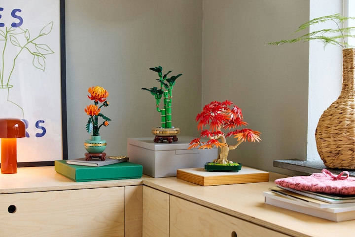 Image du produit LEGO Japanischer Roter Ahorn - Bonsai-Baum (10348, LEGO Botanical)