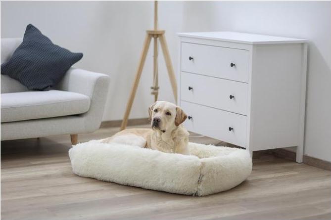 Image du produit Kerbl Lit douillet Fluffy, Crème, 60x40cm (Chien)